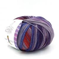 Пряжа - Италия - Laines Du Nord - Paint Sock - Paint Sock 40 фиолетово-красно-серый  Paint Sock 40 фиолетово-красно-серый